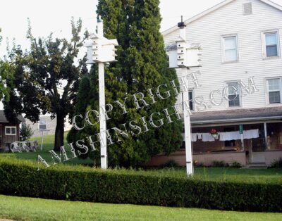 Amish Birdhouse Print