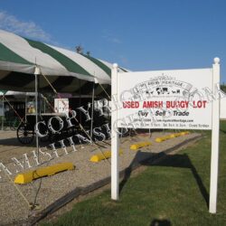 Amish Buggy Vendor Print