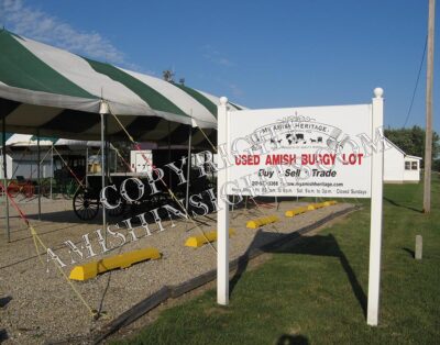 Amish Buggy Vendor Print