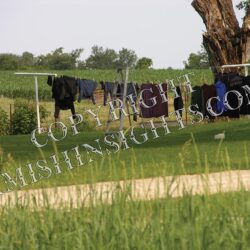 Amish Clothesline Photo