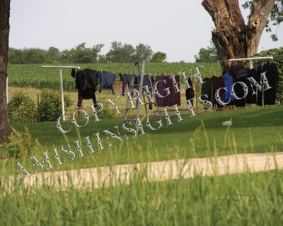 Amish Clothesline Photo