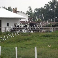 Amish Farm Photo