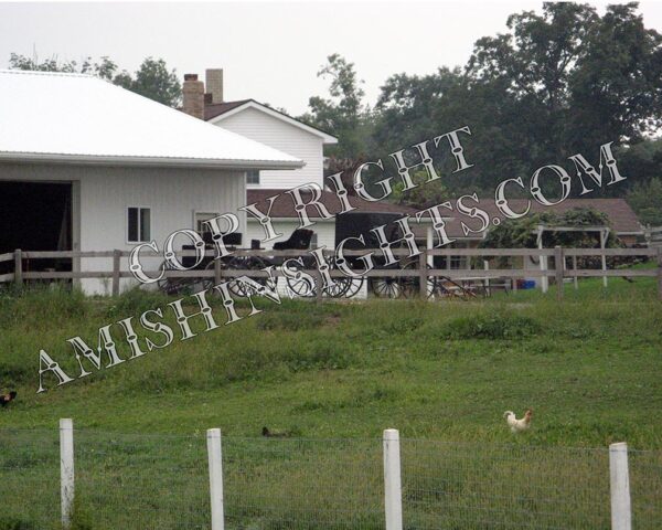 Amish Farm Photo